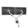 Regulowany uchwyt na 2 monitory, czarny, 2-9 Kg, mocowanie na zacisk, 17"-32", USB HUB, 75x75/100x100