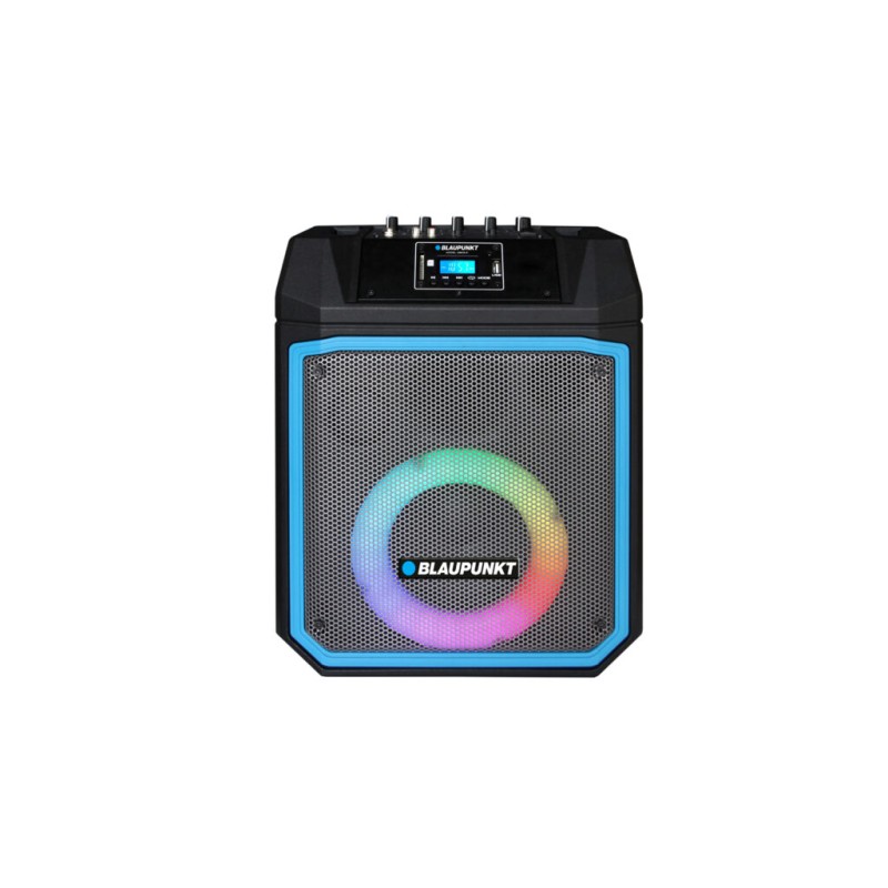 Blaupunkt głośnik power audio MB06.2