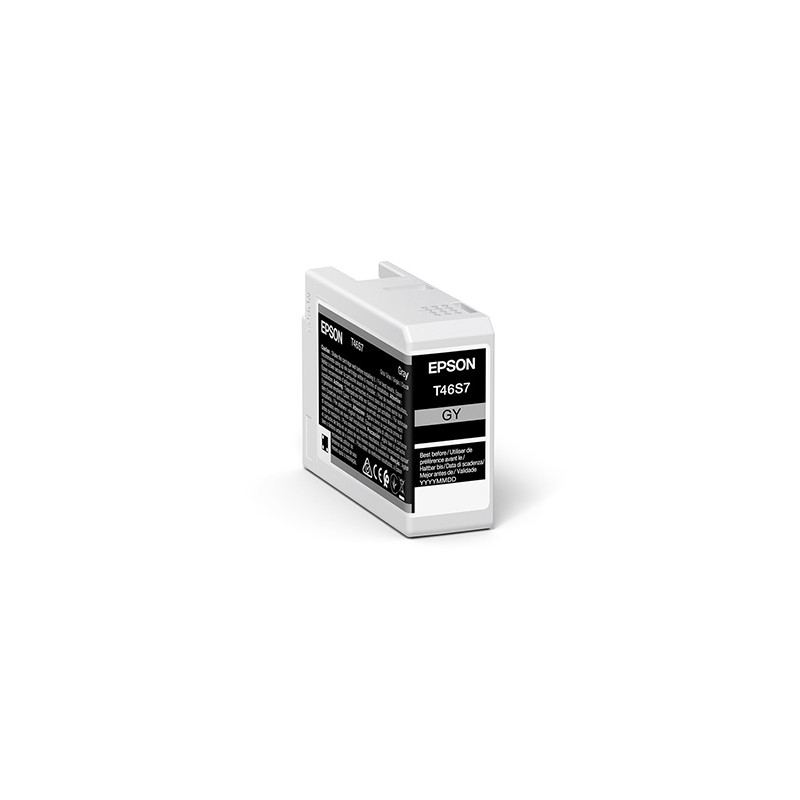 Epson oryginalny ink / tusz C13T46S700, gray