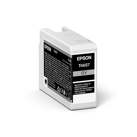 Epson oryginalny ink / tusz C13T46S700, gray