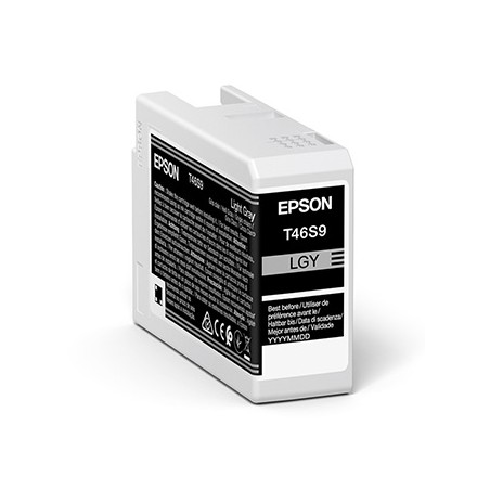 Epson oryginalny ink / tusz C13T46S900, light gray