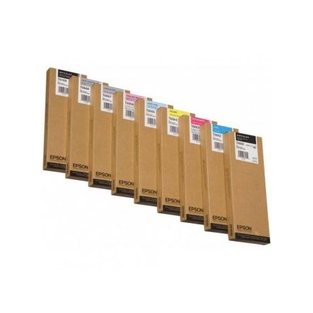 Epson oryginalny ink / tusz C13T606700, light black, 220ml