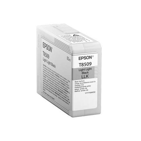 Epson oryginalny ink / tusz C13T850900, light black, 80ml