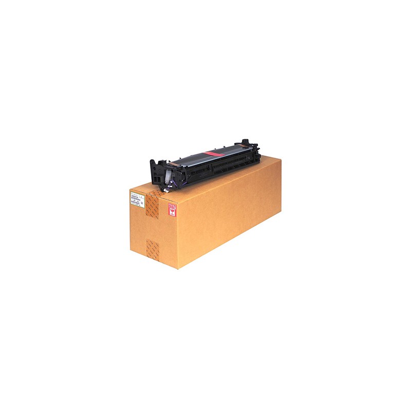 Ricoh oryginalny D2020126,D2020127, black