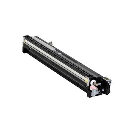 Ricoh oryginalny developer D1773023, D1773028, D1773038, yellow, 120000s