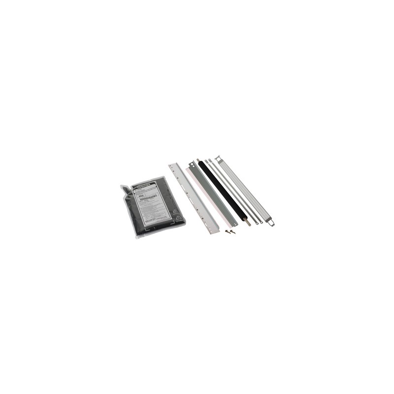 Toshiba oryginalny developer 6LH53489000