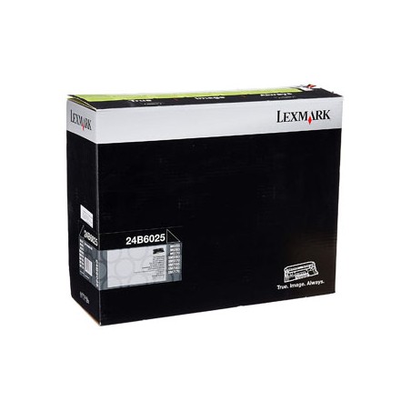 Lexmark oryginalny 24B6025, black, 100000s