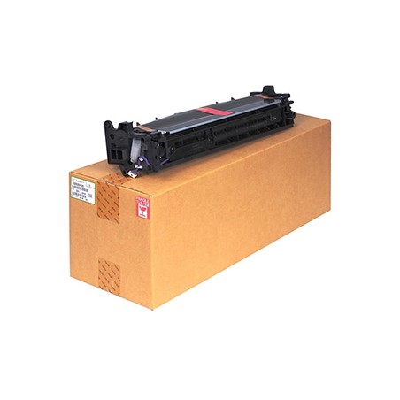 Ricoh oryginalny D2020126,D2020127, black
