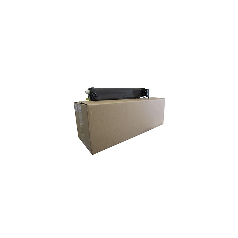 Ricoh oryginalny bęben D1442251, black