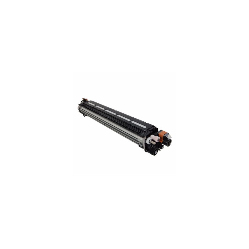 Ricoh oryginalny developer D2423064, D2423060, black, 600000s, D2423091