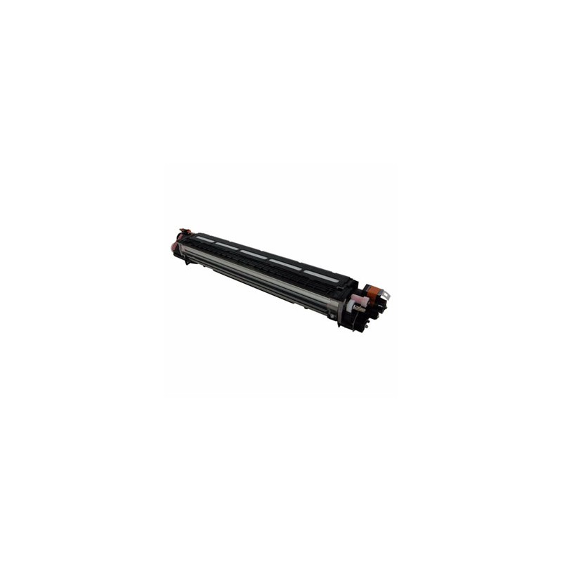Ricoh oryginalny developer D2423061, D2423065, cyan, 270000s