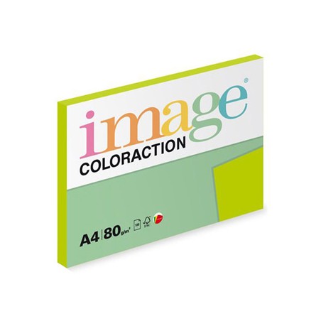 Papier kserograficzny Coloraction, Java, A4, 80 g/m2, średni zielony, 100 arkusza, nadaje się do druku atramentowego