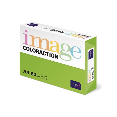 Papier kserograficzny Coloraction, Java, A4, 80 g/m2, średni zielony, 500 arkusza, nadaje się do druku atramentowego