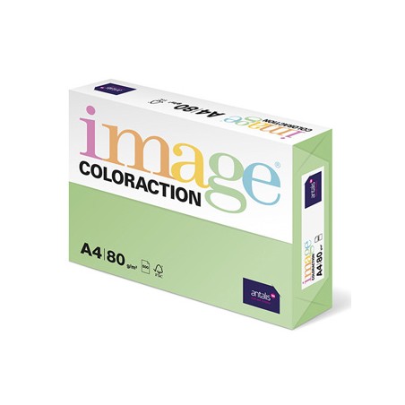 Papier kserograficzny Coloraction, Forest, A4, 80 g/m2, pastelowe zielony, 500 arkusza, nadaje się do druku atramentowego