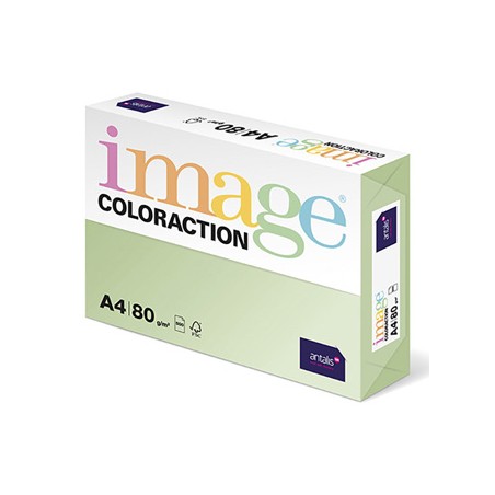 Papier kserograficzny Coloraction, Jungle, A4, 80 g/m2, jasny zielony, 500 arkusza, nadaje się do druku atramentowego