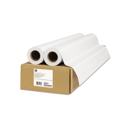 HP HP Everyday Matte Polypropylene, Matt polipropylen, CH022A, foto polipropylen, 2pack typ matowy, biały, role, 24", 120 g/m2, 