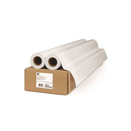 HP HP Everyday Matte Polypropylene, Matt polipropylen, CH027A, foto niepowlekany polipropylen, 2pack typ matowy, biały, role, 12