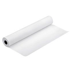 Epson 420/15.2/Ultrasmooth Fine Art Paper Roll, 17", C13S042074, 250 g/m2, papier, 420mmx15.2m, biały, do drukarek atramentowych