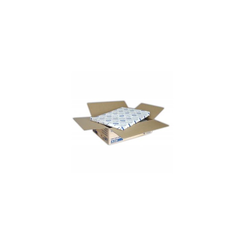 Epson Color Laser Paper, biała, 1250, szt. szt., C13S041217, do drukarek laserowych, 330x480mm (A3+), A3+, 82 g/m2