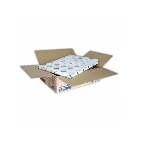Epson Color Laser Paper, biała, 1250, szt. szt., C13S041217, do drukarek laserowych, 330x480mm (A3+), A3+, 82 g/m2