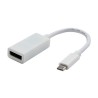 USB/Video adapter, DP Alt Mode, USB C (M) - DisplayPort F, biały, 4K2K@30Hz 65507, EOL