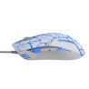 E-blue Cobra Mysz przewodowa, biało-niebieska, 2500DPI, e-box