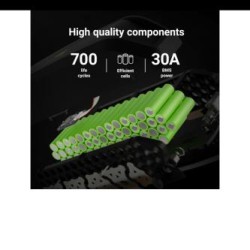 Green Cell®® GC PowerMove E-Bike bateria 48V 14.5Ah Li-Ion Down Tube z ładowarka