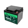 Green Cell AGM VRLA 12V 44Ah maintenance-free bateria do mower, skuter, łodzi, wózek inwalidzki