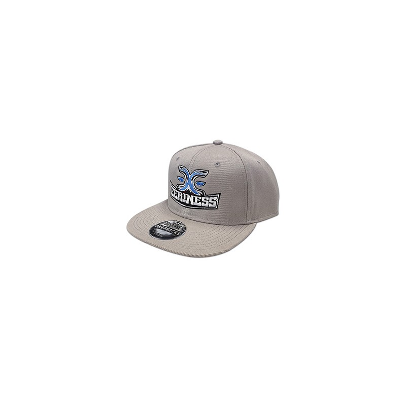EERINESS snapback, šedá, vyšité logo