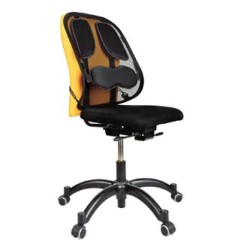 Fellowes Podkładka/ podpórka pod plecy Profesional, czarna, ergo