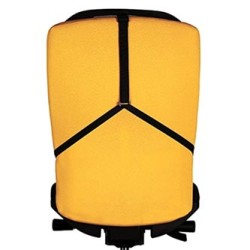 Fellowes Podkładka/ podpórka pod plecy Profesional, czarna, ergo