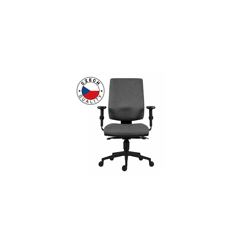 Powerton ERGO HANA Ergonomiczny fotel biurowy, Szary