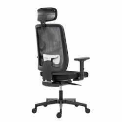 Powerton ERGO LUCIE Ergonomiczny fotel biurowy, Czarny