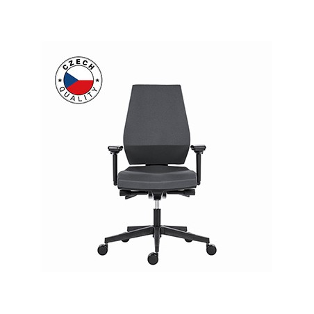 Powerton ERGO SIMA Ergonomiczny fotel biurowy, Szary