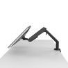 Regulowany uchwyt na monitor, czarny, 3-12KG, mocowanie na zacisk, 17"-36", 75x75/100x100
