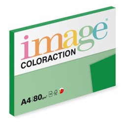 Papier kserograficzny Coloraction, Dublin, A4, 80 g/m2, ciemne zielony, 100 arkusza, nadaje się do druku atramentowego