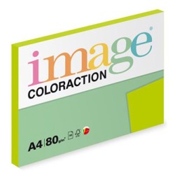 Papier kserograficzny Coloraction, Java, A4, 80 g/m2, średni zielony, 100 arkusza, nadaje się do druku atramentowego