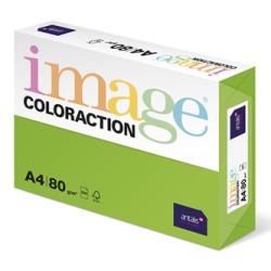 Papier kserograficzny Coloraction, Java, A4, 80 g/m2, średni zielony, 500 arkusza, nadaje się do druku atramentowego