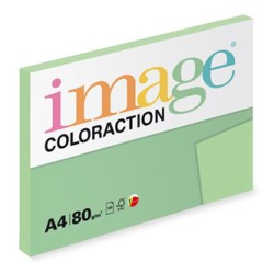 Papier kserograficzny Coloraction, Jungle, A4, 80 g/m2, jasny zielony, 100 arkusza, nadaje się do druku atramentowego