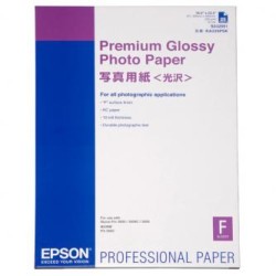 Epson Premium Glossy Photo Pa, C13S042091, foto papier, połysk, biały, Stylus Photo 890, 895, 1270, 2100, A2, 255 g/m2, 25 szt